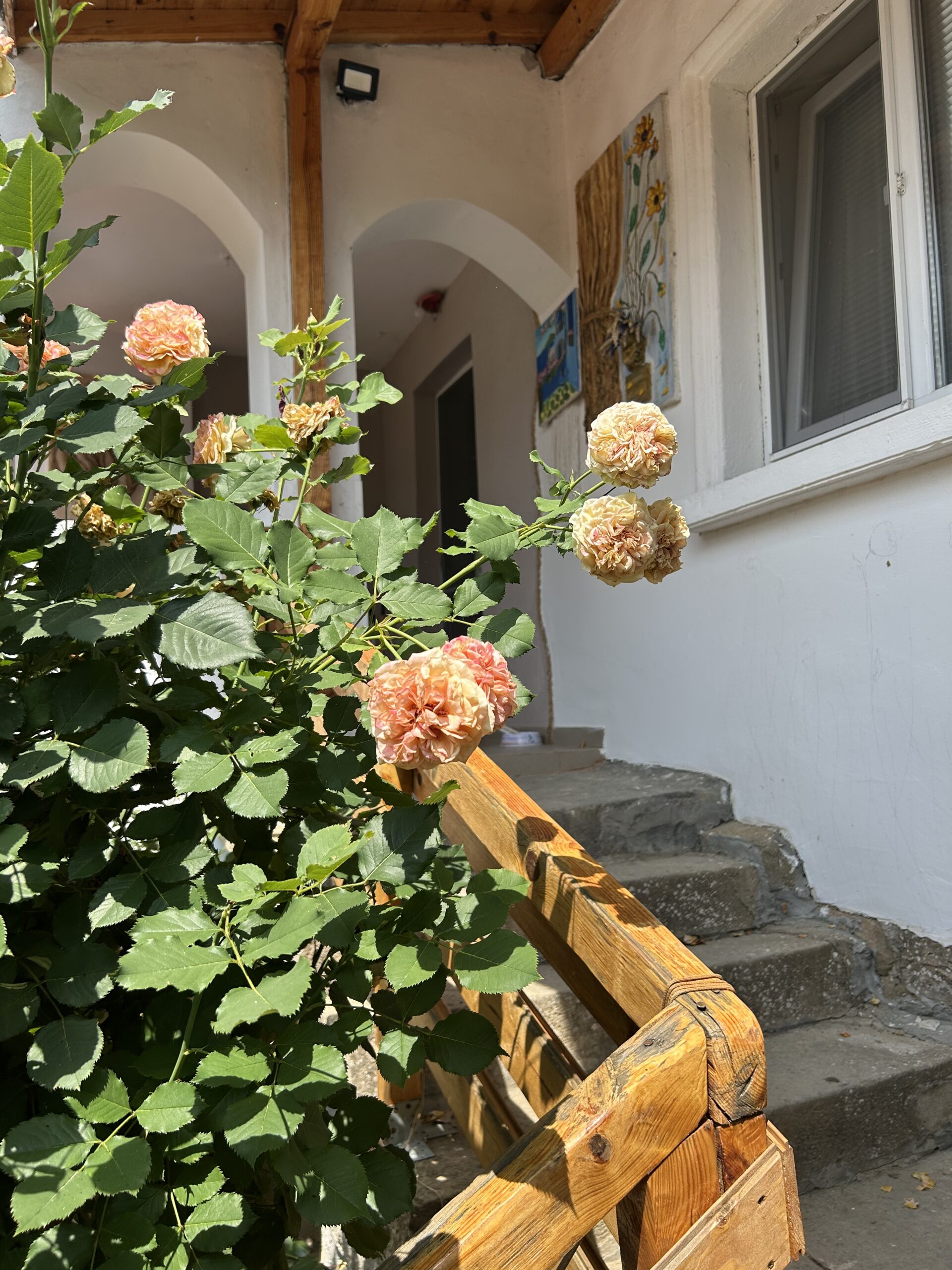 The House